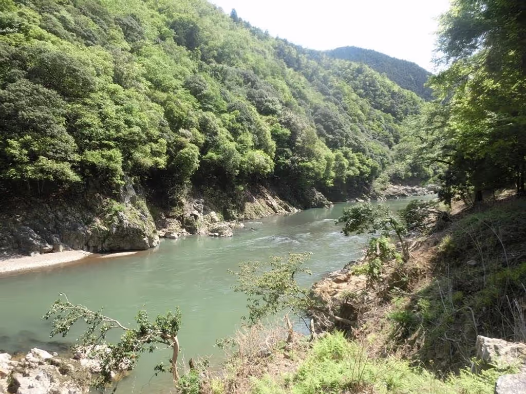 Kyoto Private Tour - Hozukyo