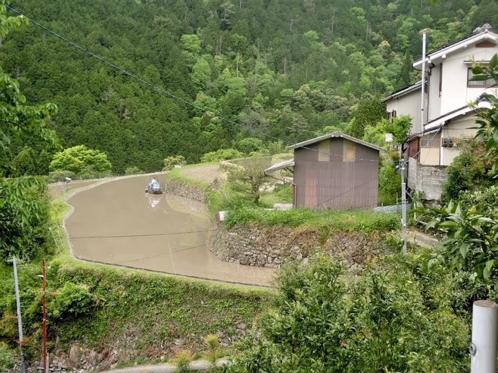 Kyoto Private Tour - Mizuo plantation of Yuzu citrus