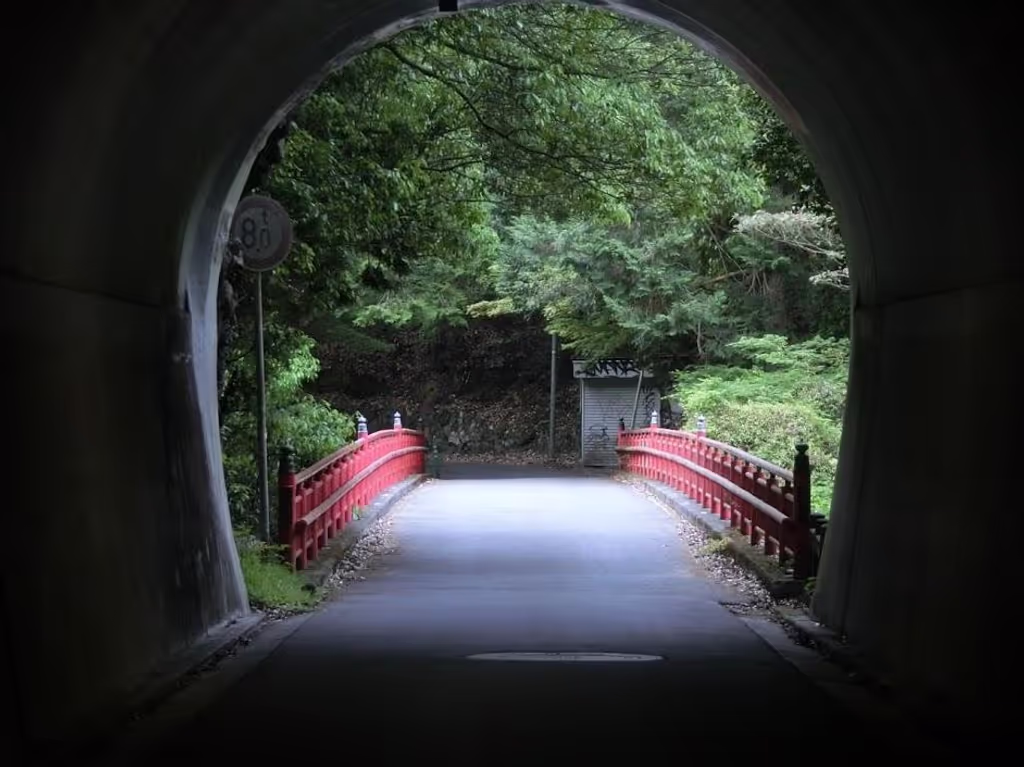 Kyoto Private Tour - Kiyotaki Ochiai