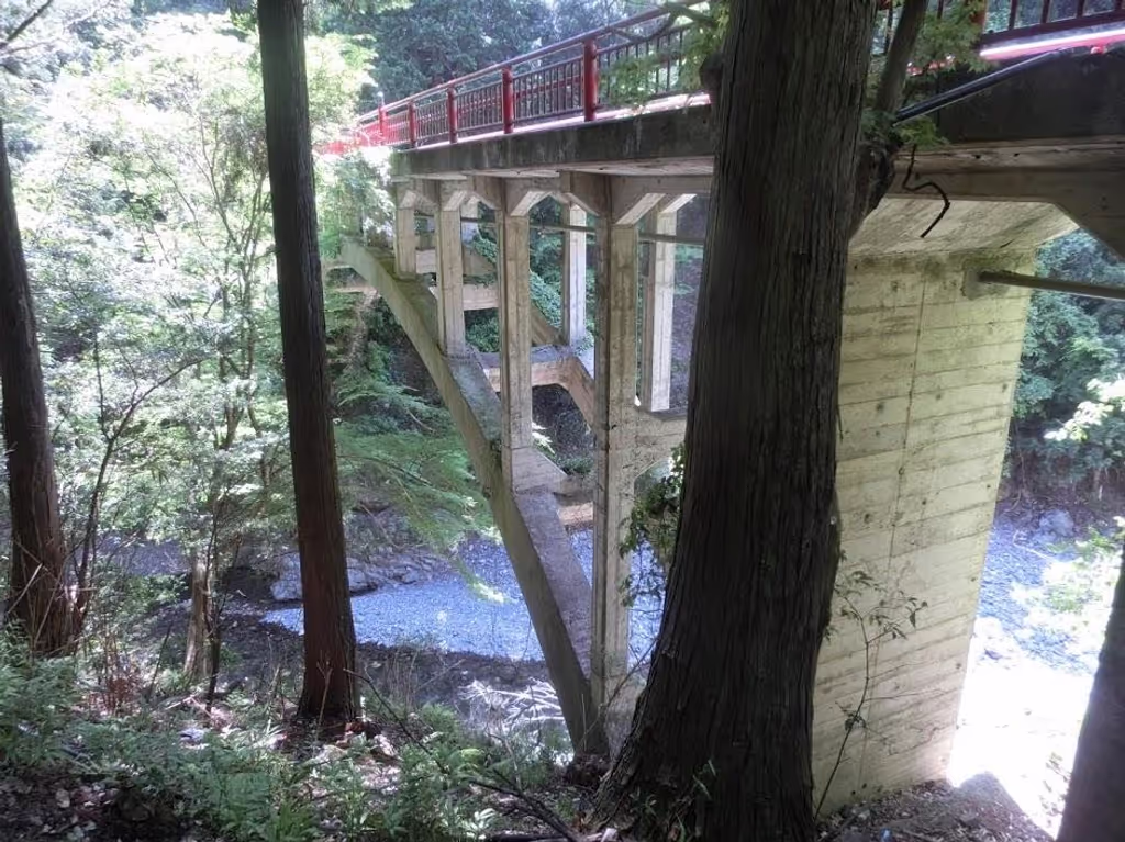 Kyoto Private Tour - Hozukyo bridge