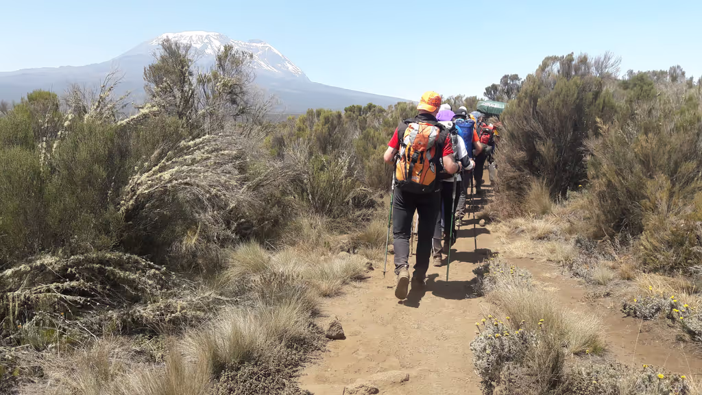 Kilimanjaro Private Tour - trek ahead to the KIKELELWA campsite