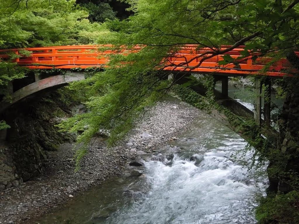 Kyoto Private Tour - Takao