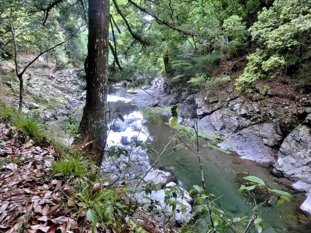 Kyoto Private Tour - Kiyotaki River