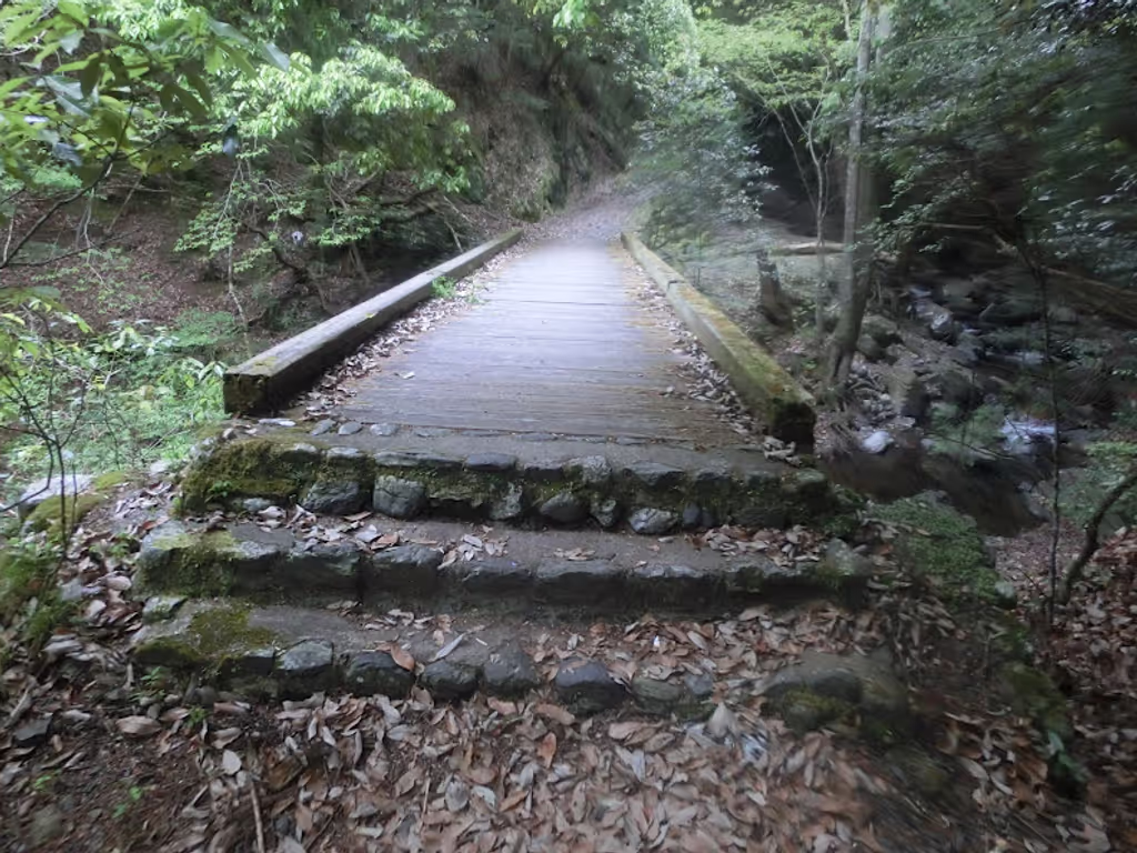 Kyoto Private Tour - Walking