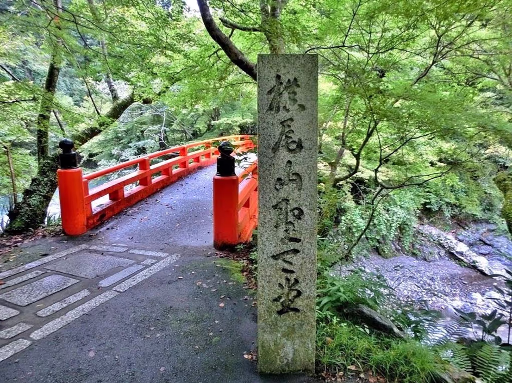 Kyoto Private Tour - Takao