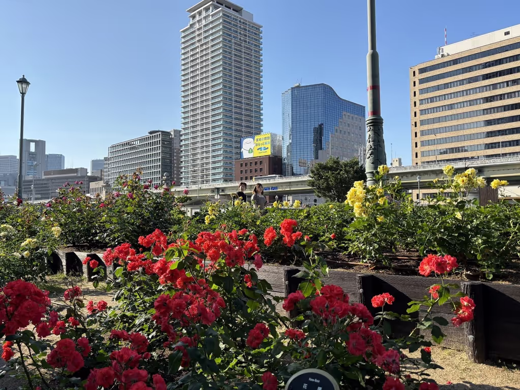 Osaka Private Tour - Nakanoshima Rose Garden