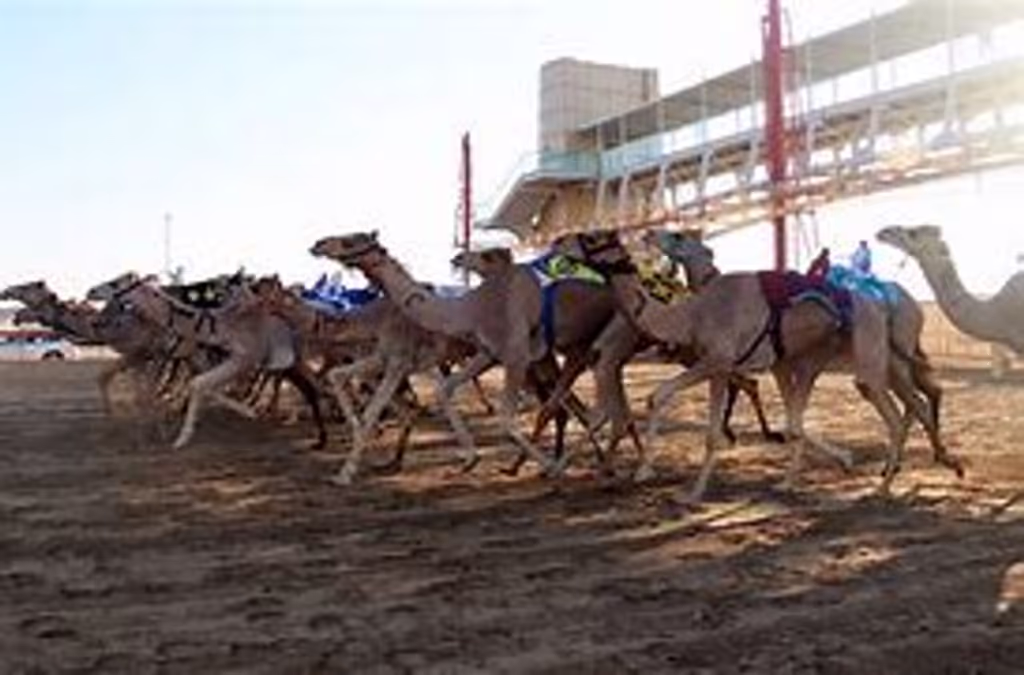 Dubai Private Tour - 