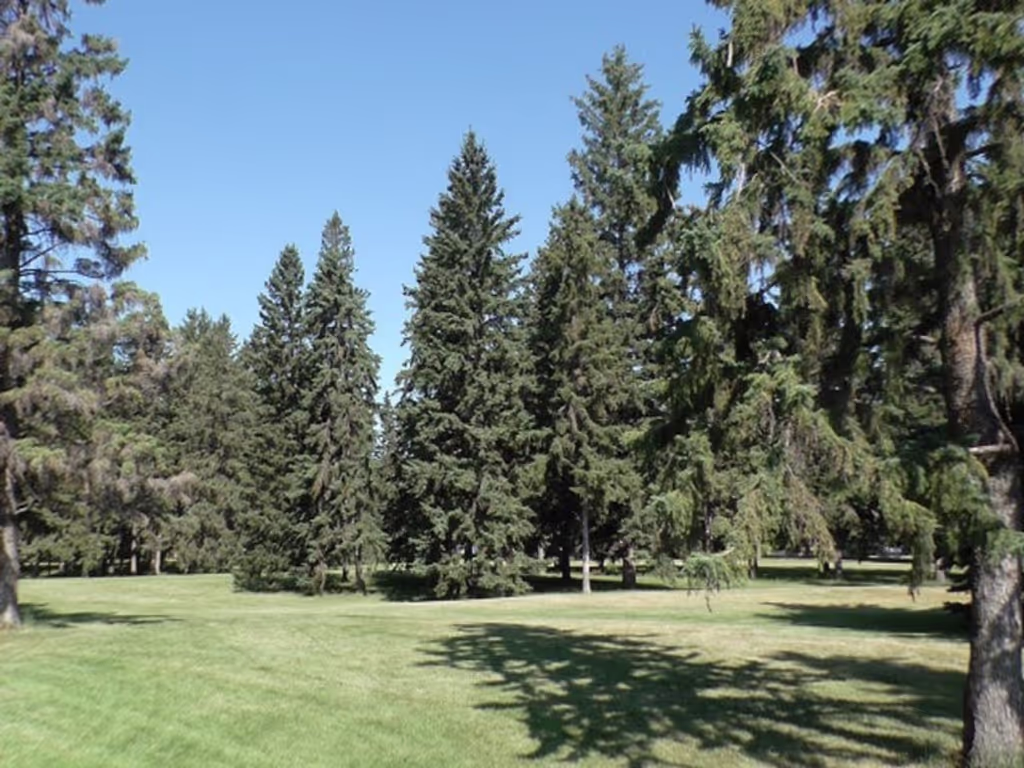 Saskatoon Private Tour - President Murray Park
