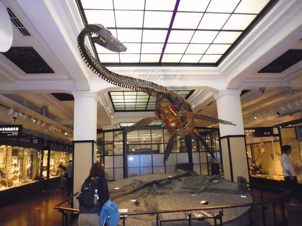 Tokyo Private Tour - National Museum of Nature and Science