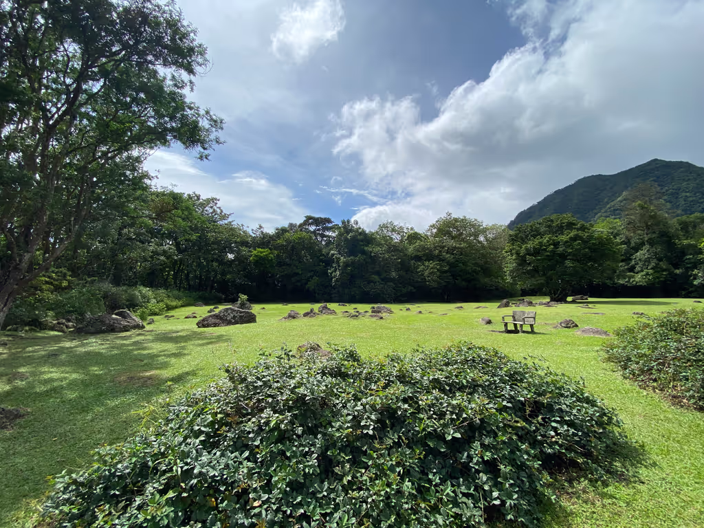 Panama City Private Tour - Open area at the El Nispero Zoo
