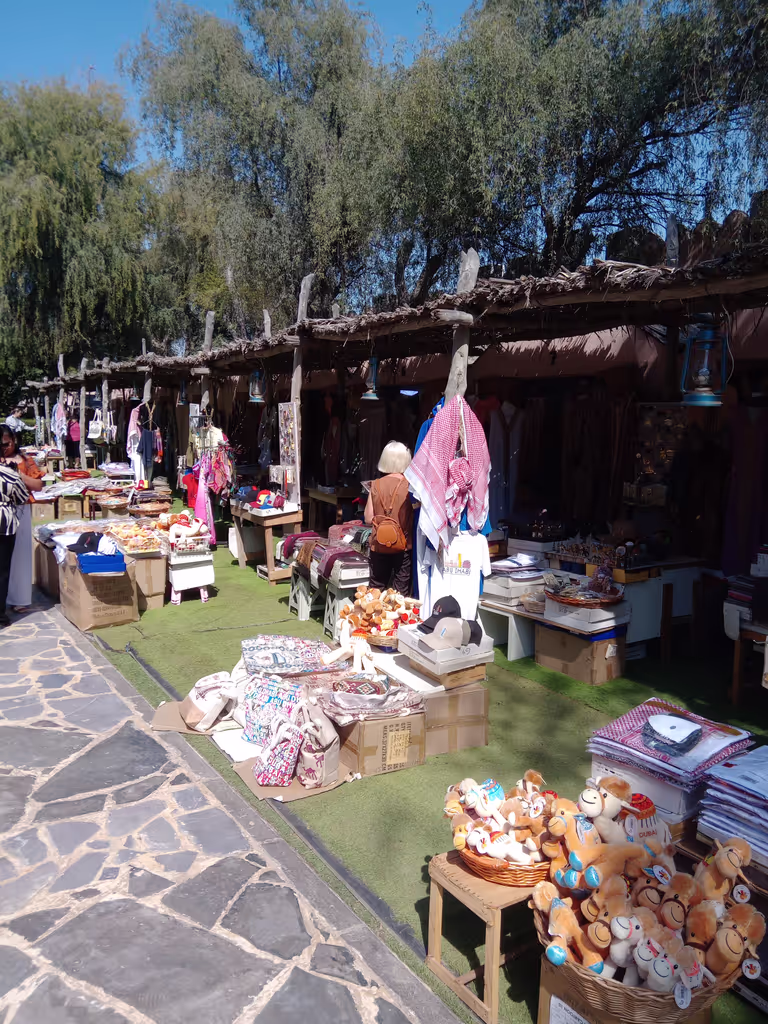 Abu Dhabi Private Tour - heritage village