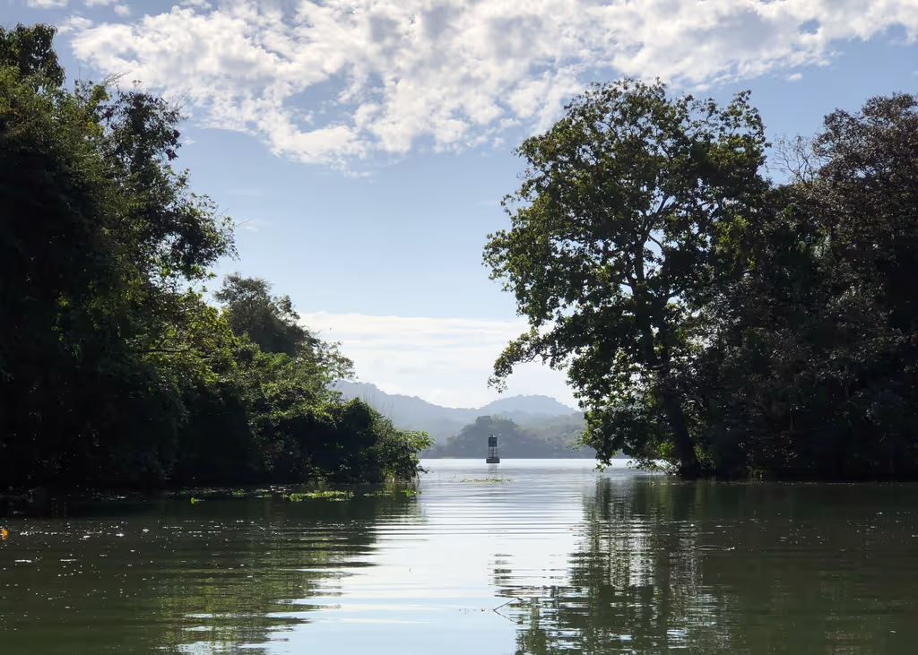 Panama City Private Tour - Rainforest at Gatun Lake