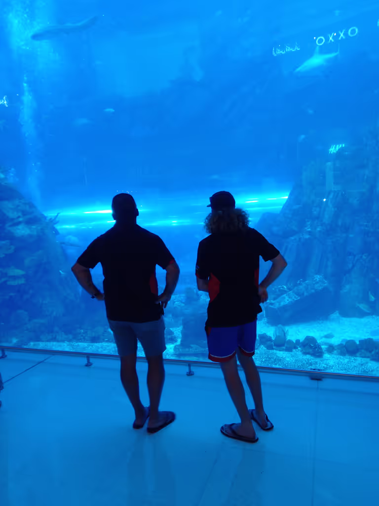 Dubai Private Tour - Dubai aquarium