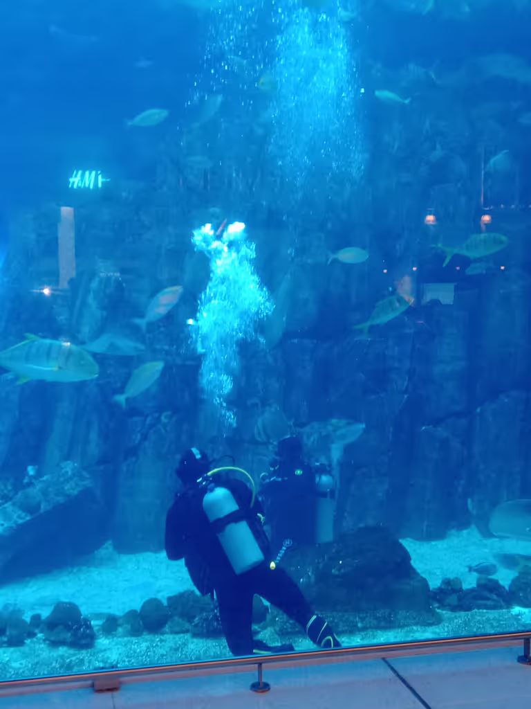 Dubai Private Tour - Dubai aquarium