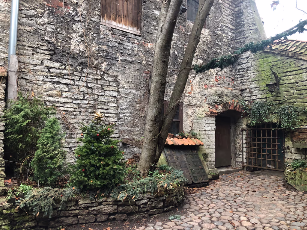 Tallinn Private Tour - Monastic yards