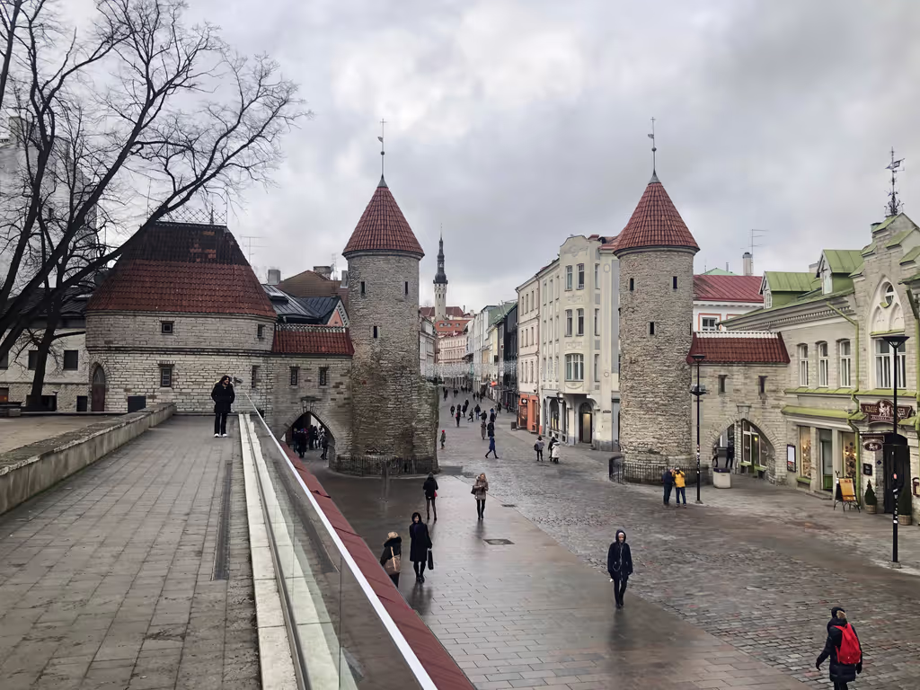 Tallinn Private Tour - Viru gates - "gates of time"