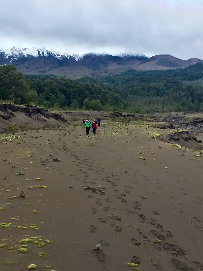 Puerto Varas Private Tour - Vicente Perez Rosales National P Patagonia trails.