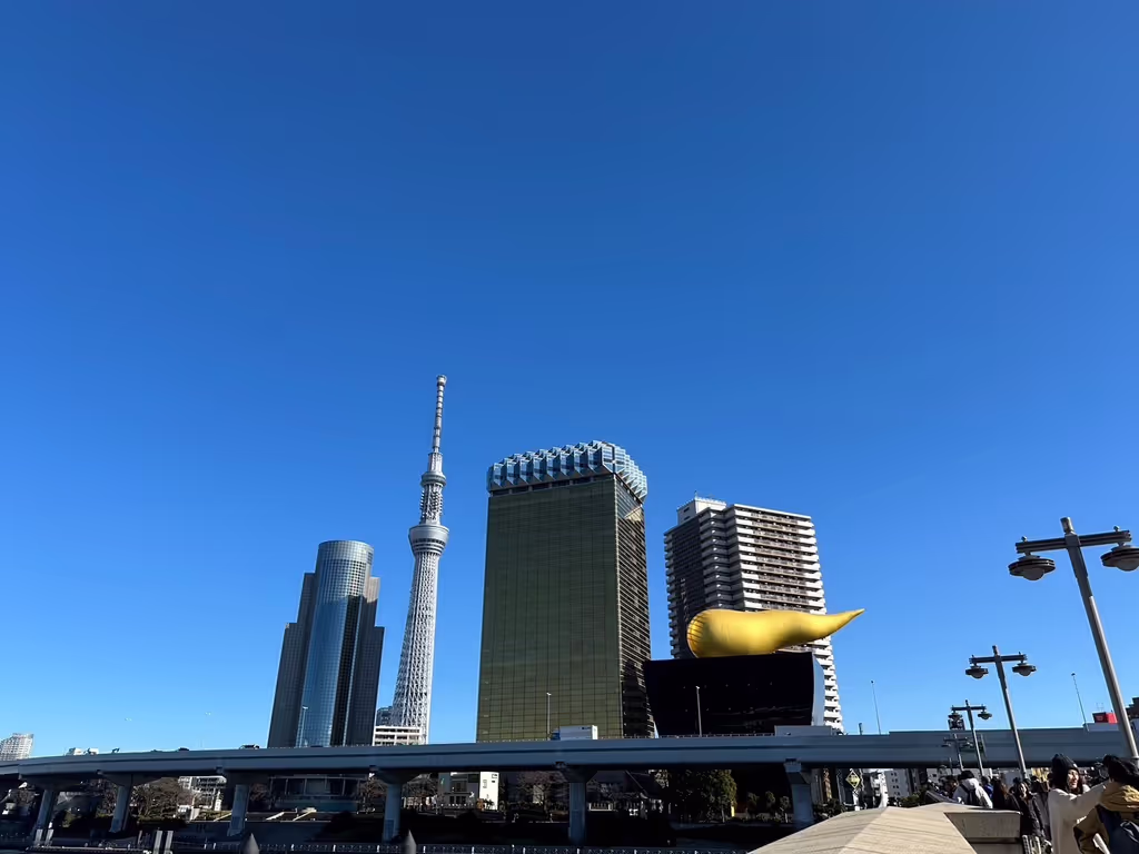 Tokyo Private Tour - Tokyo Skytree Tower