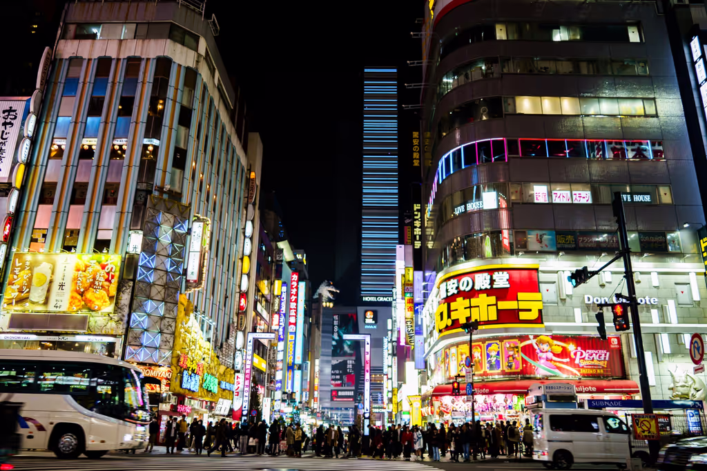 Tokyo Private Tour - Shinjuku
