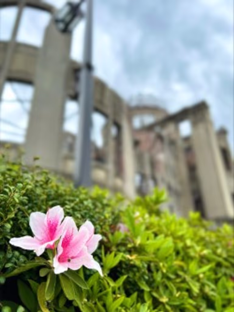 Hiroshima Private Tour - Atomic Bomb Dome