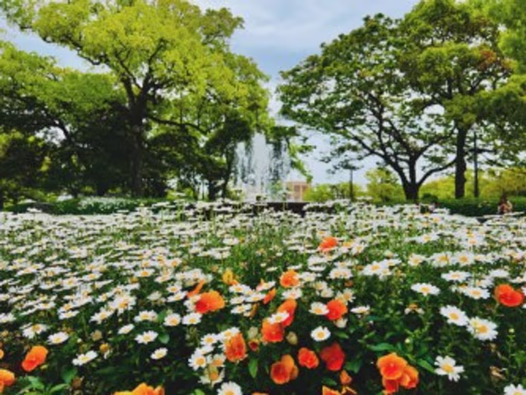 Hiroshima Private Tour - Peace Memorial Park