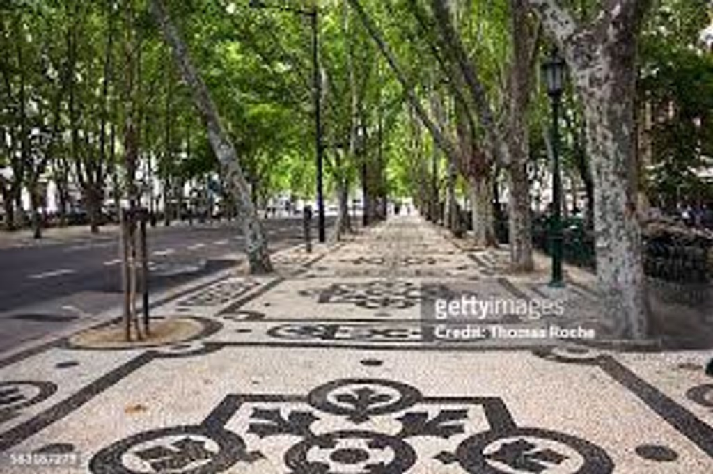 Lisbon Private Tour - avenida da liberdade