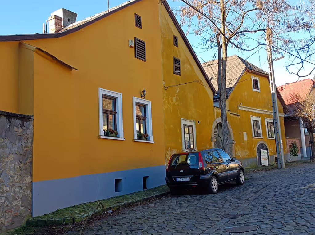 Budapest Private Tour - Rab Ráby House