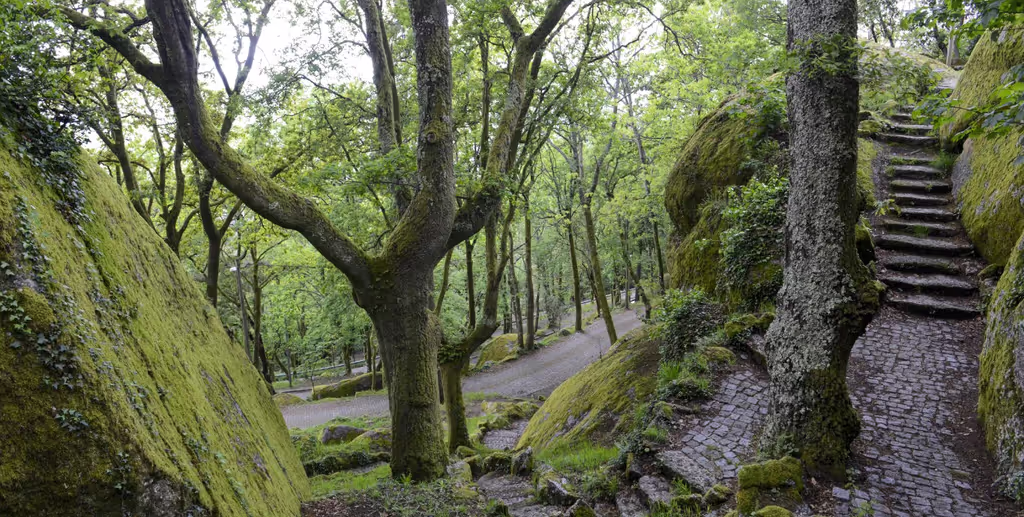 Braga Private Tour - Guimarães
