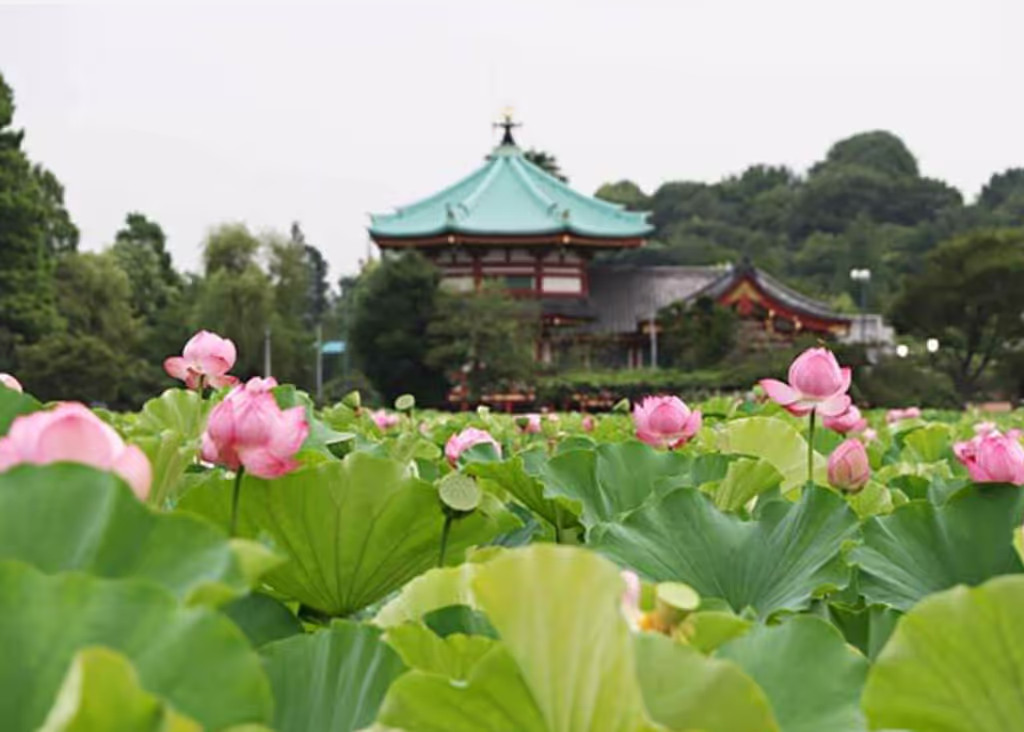Tokyo Private Tour - 