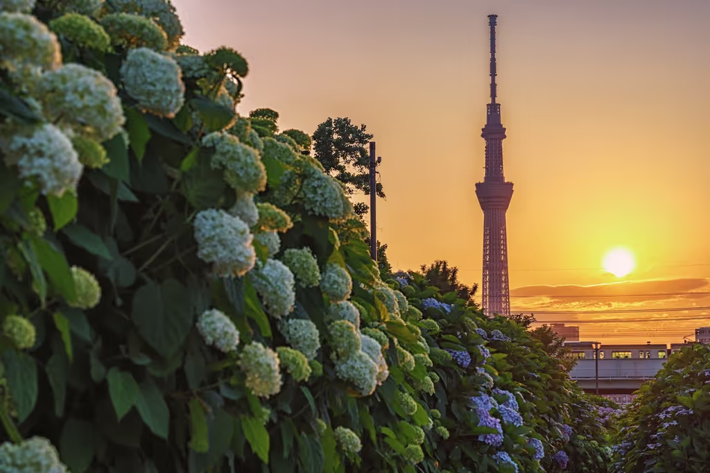 Tokyo Private Tour - 