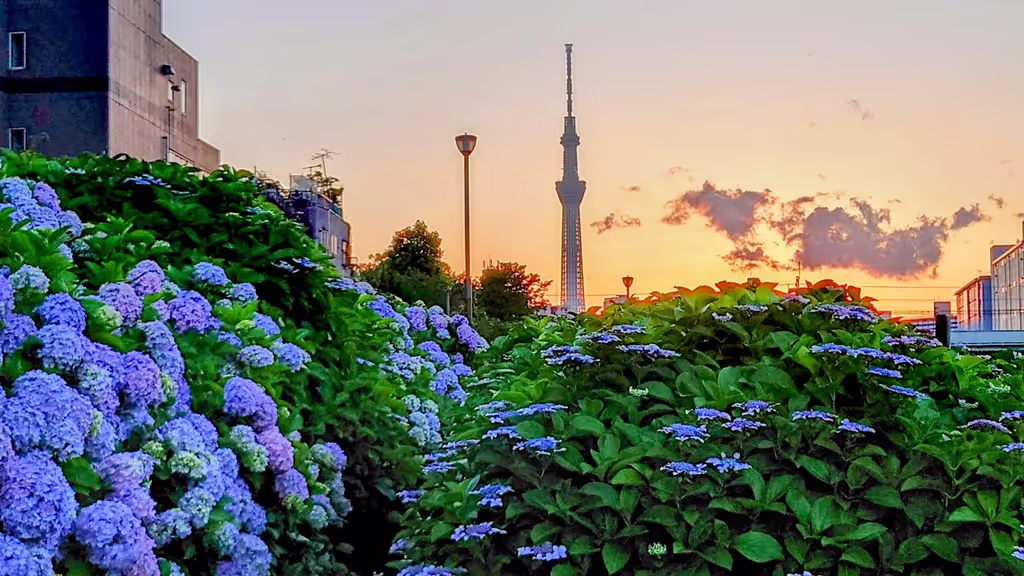 Tokyo Private Tour - 