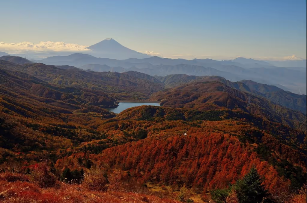 Tokyo Private Tour - 