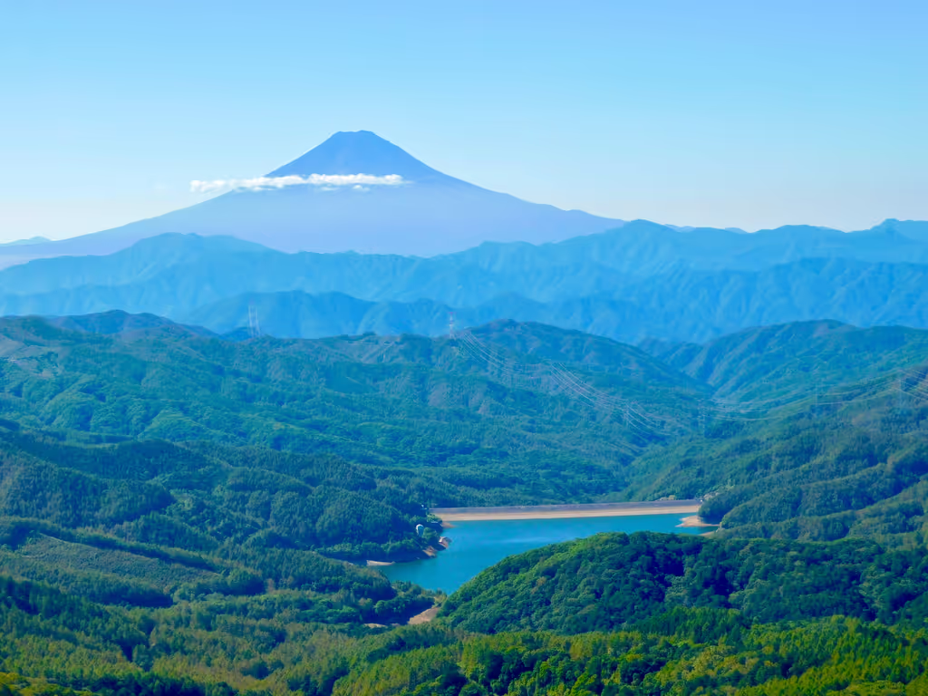 Tokyo Private Tour - 
