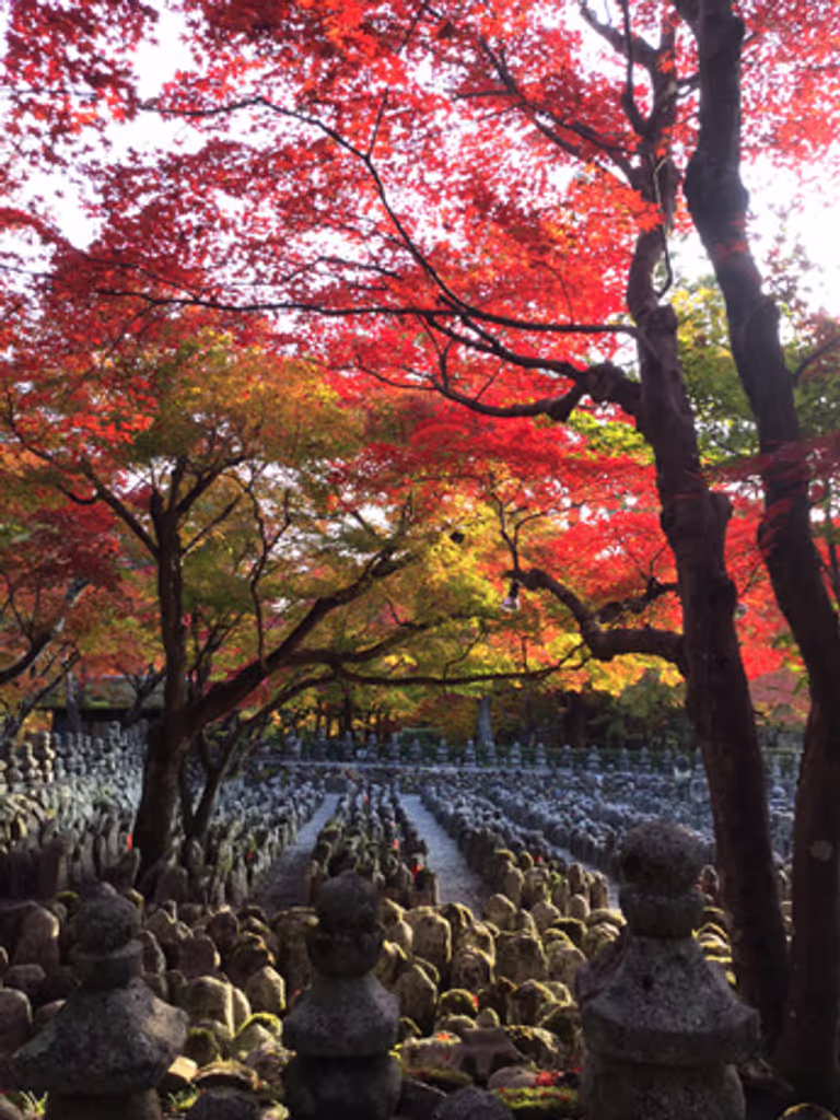 Kyoto Private Tour - Adashino Nenbutsuji Temple in Fall