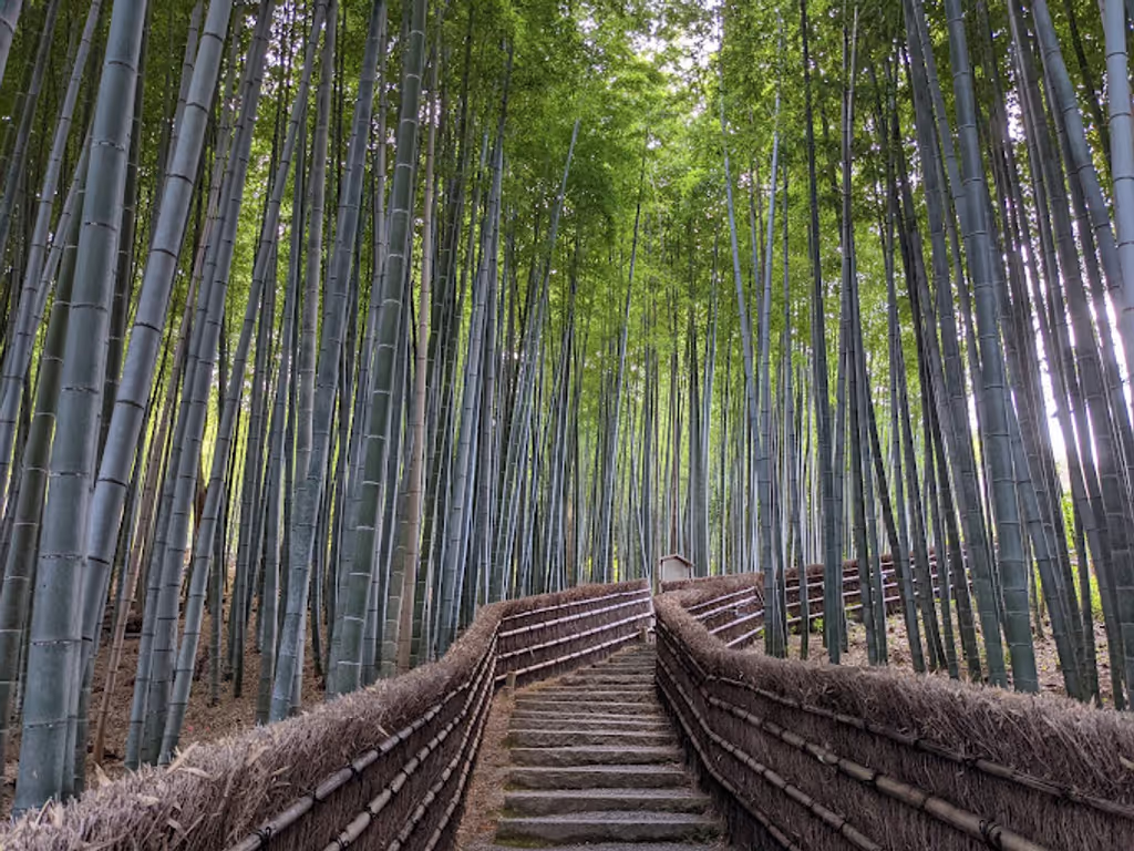 Kyoto Private Tour - Bamboo Forest at Adashino Nenbutsuji Temple
