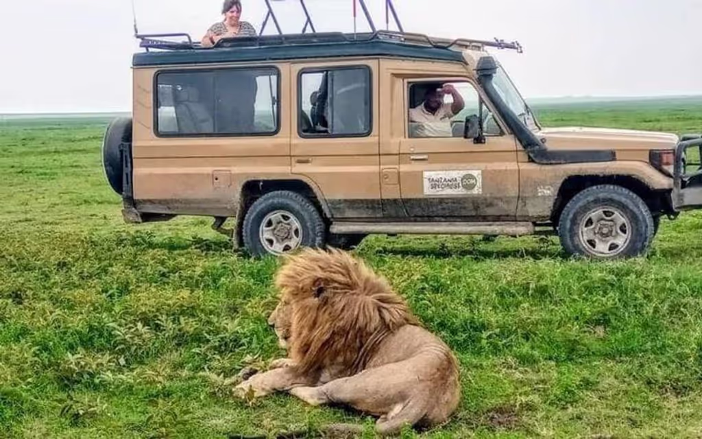 Nairobi Private Tour - 