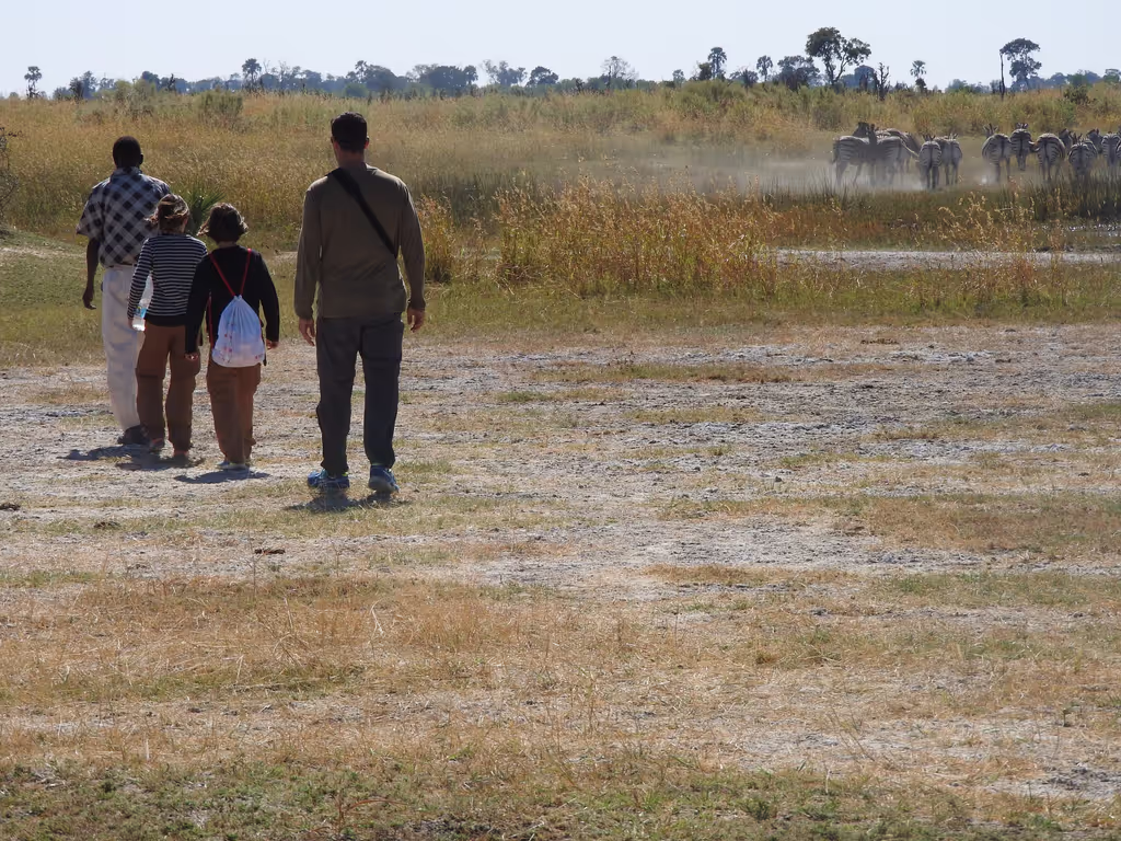 Ngamiland Private Tour - Approaching Zebras