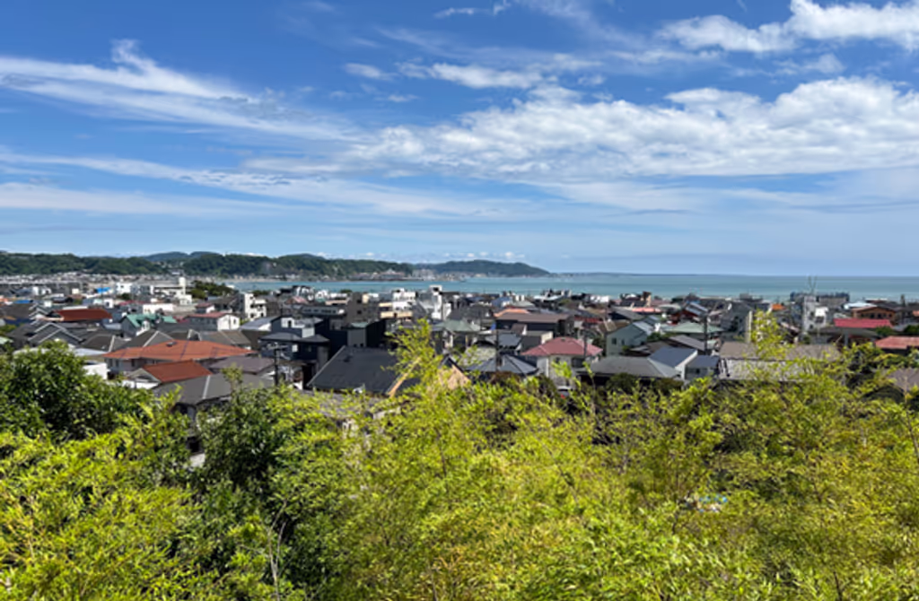 Tokyo Private Tour - 
