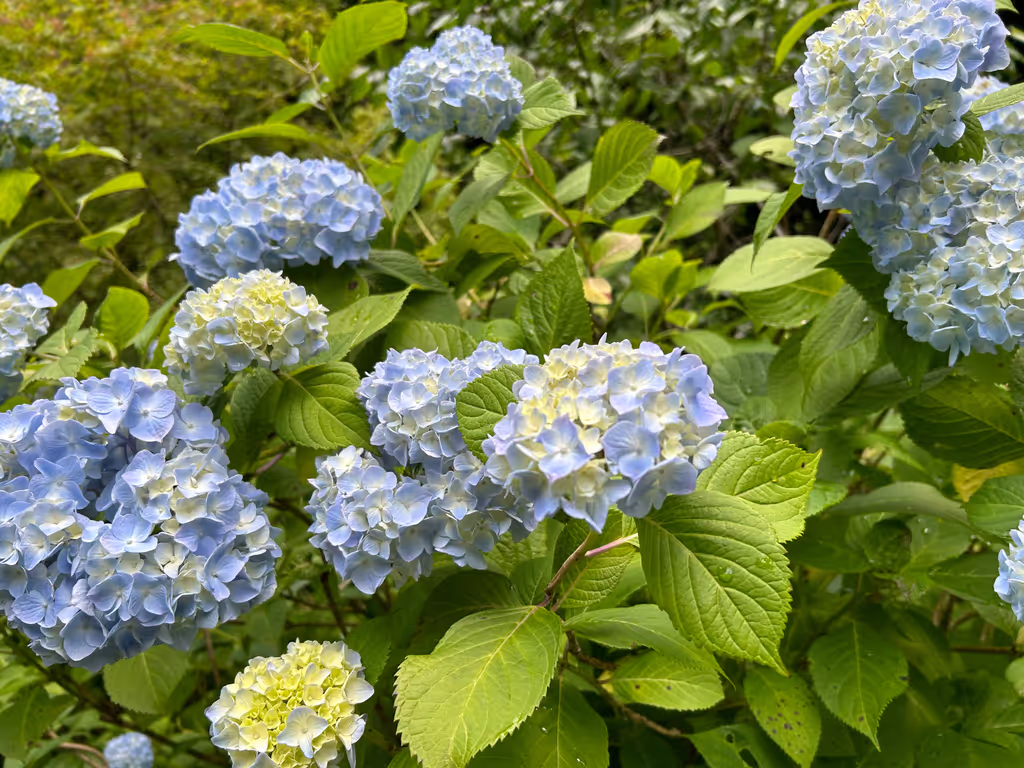 Tokyo Private Tour - 