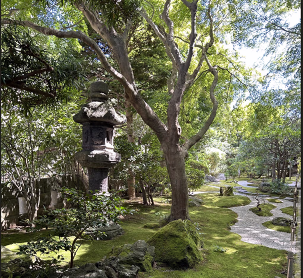 Tokyo Private Tour - 