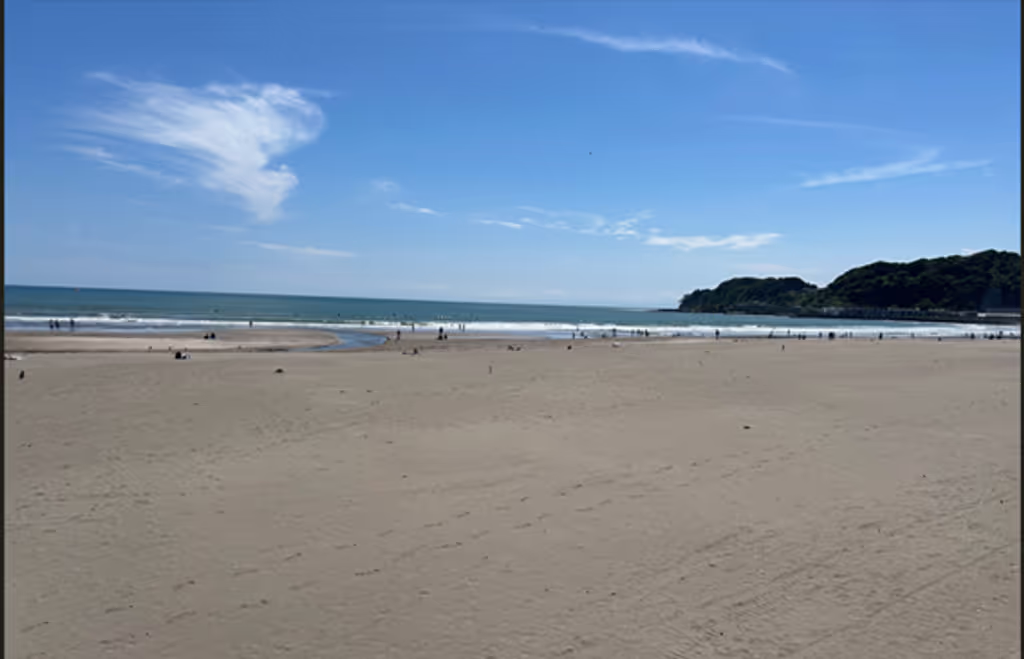 Tokyo Private Tour - 