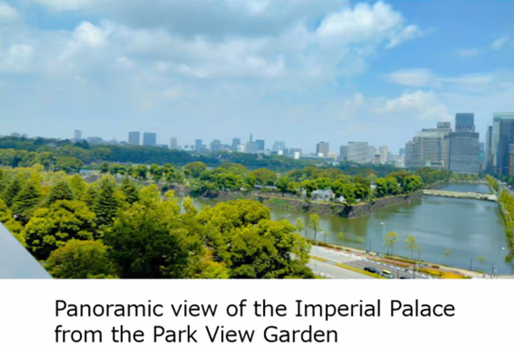 Tokyo Private Tour - View of Imperial Palace