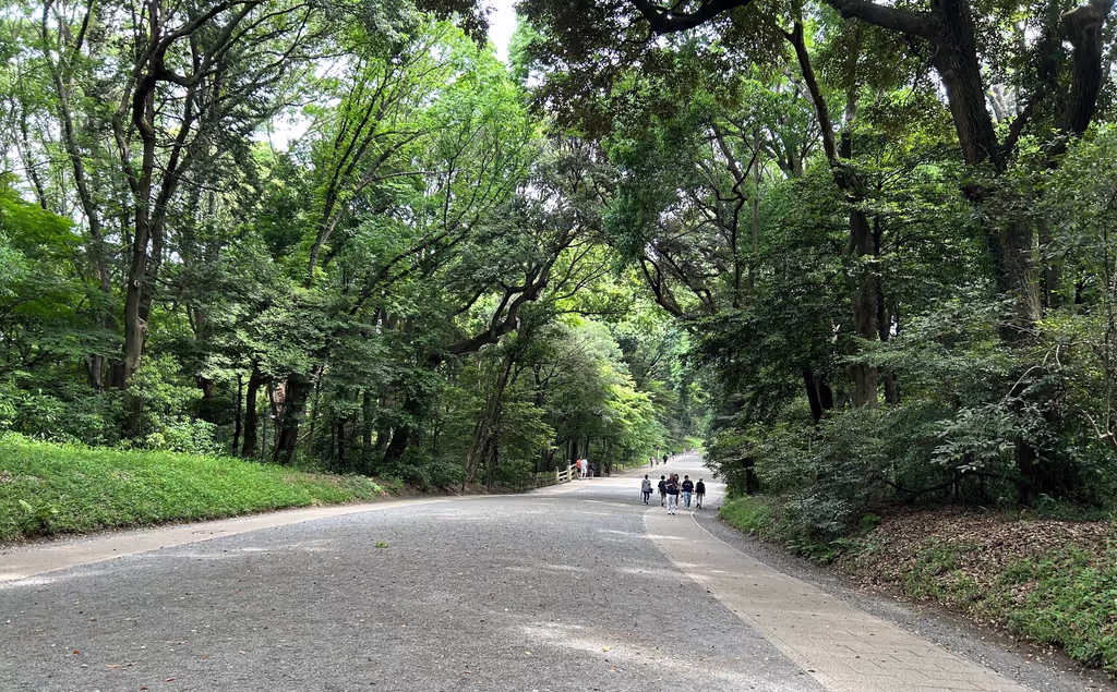 Tokyo Private Tour - Meiji Shrine's Sacred Pathway