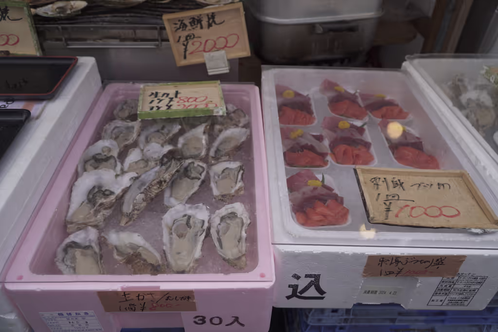 Tokyo Private Tour - 