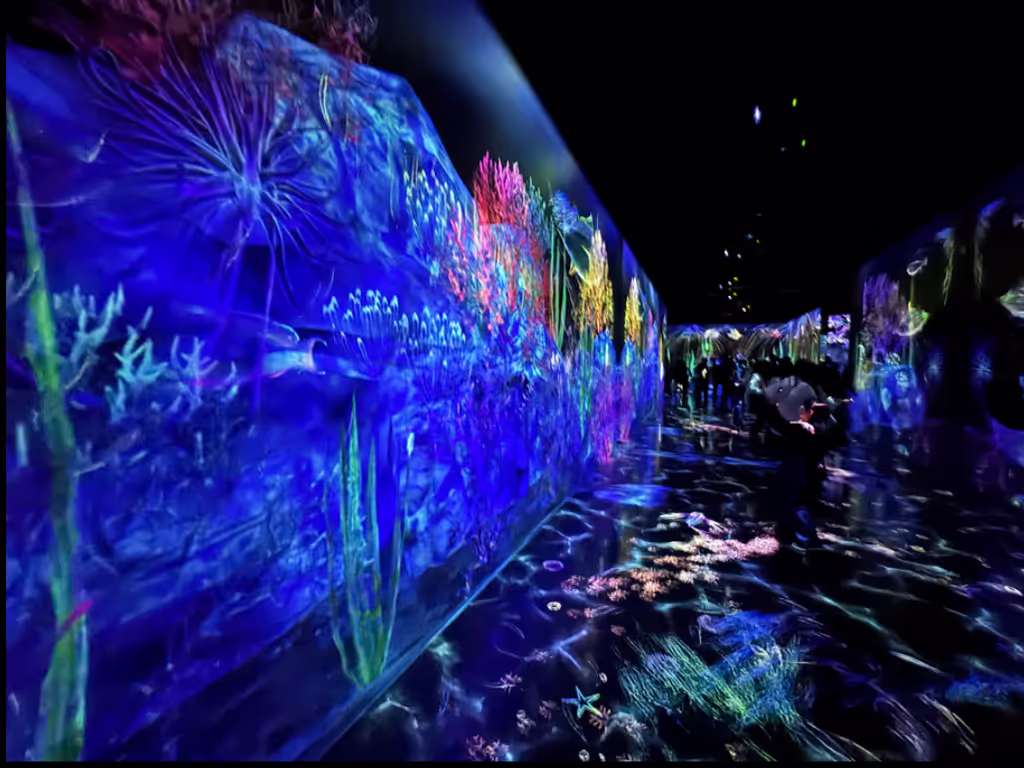 Fukuoka Private Tour - Digital Art at Team-Lab Forest