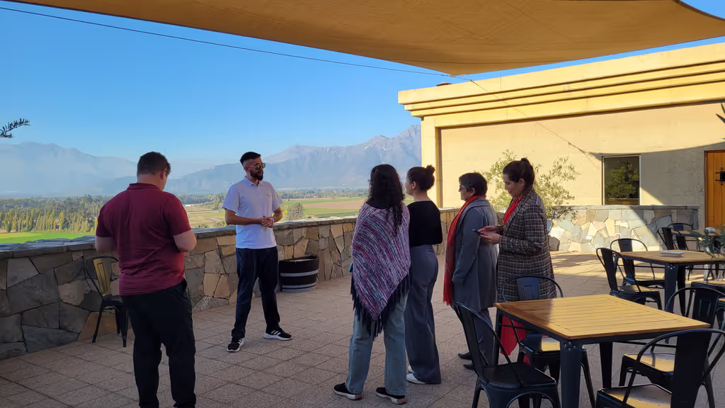 Santiago Private Tour - 