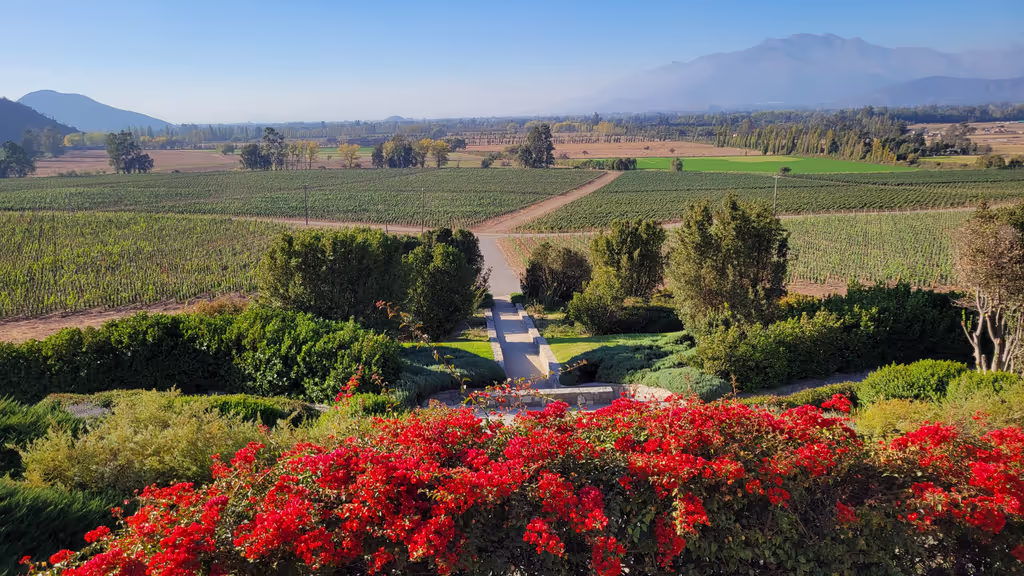 Santiago Private Tour - 