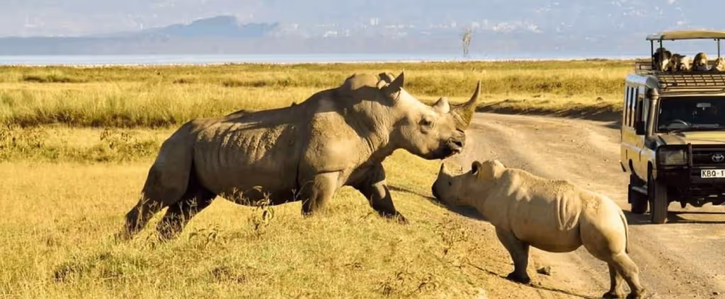 Nairobi Private Tour - Nairobi game drive