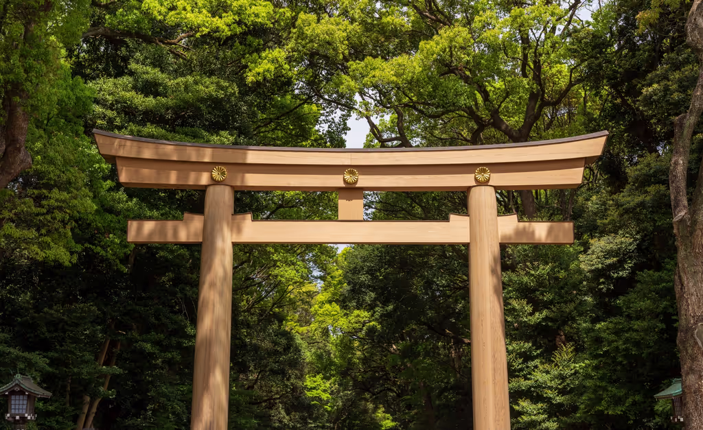 Tokyo Private Tour - Meiji-jingu-shrine