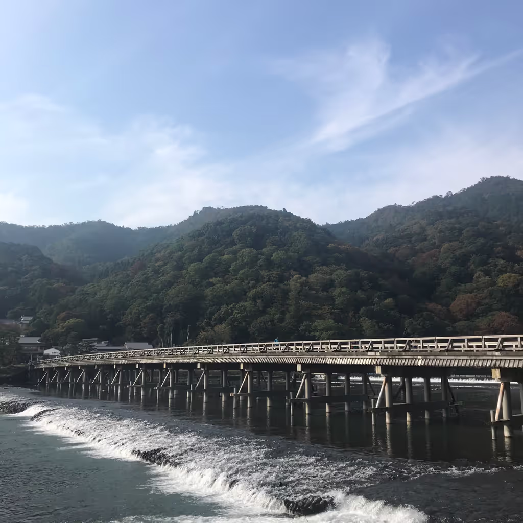 Kyoto Private Tour - Togetsukyo Bridge